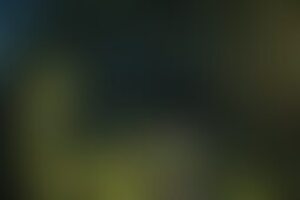 Фотография перформанса Не дыши от компании Не дыши (Фото 1)