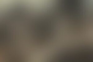 Фотография перформанса Хирург от компании Хирург (Фото 1)