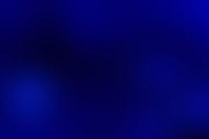 Фотография квеста Domaine de Charles Morro от компании Black Wood (Фото 2)