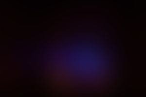 Фотография квеста Domaine de Charles Morro от компании Black Wood (Фото 3)