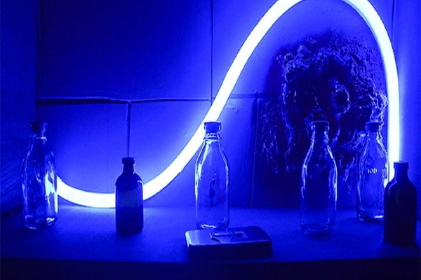 Фотография квеста «Гарри»