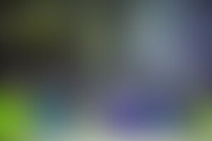 Фотография перформанса Обитель зла от компании Pandora  (Фото 1)